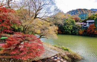 秋の紅葉ライトアップの夜間特別拝観で楽しむロマンチックな写経体験