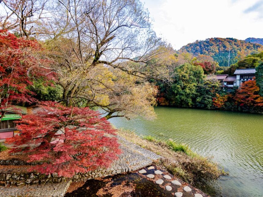 秋の紅葉ライトアップの夜間特別拝観で楽しむロマンチックな写経体験